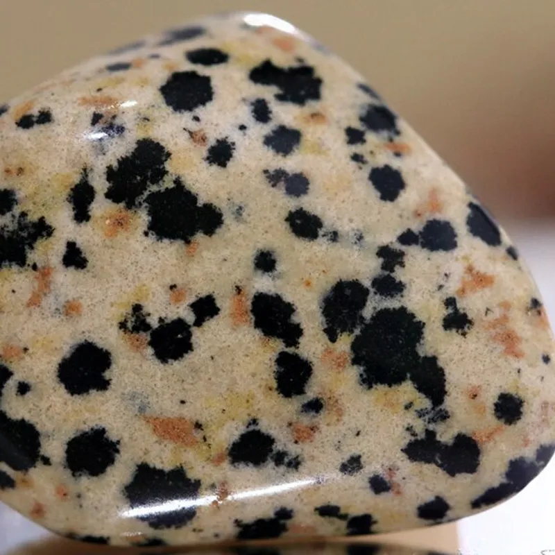 Dalmatian Jasper crystal