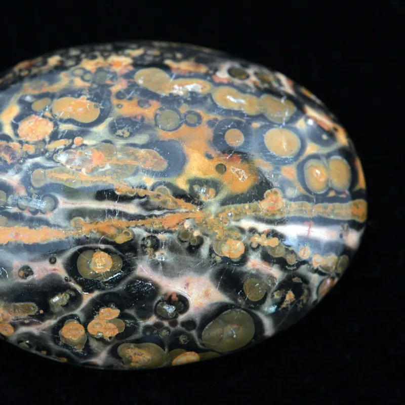 Leopardskin Jasper crystal