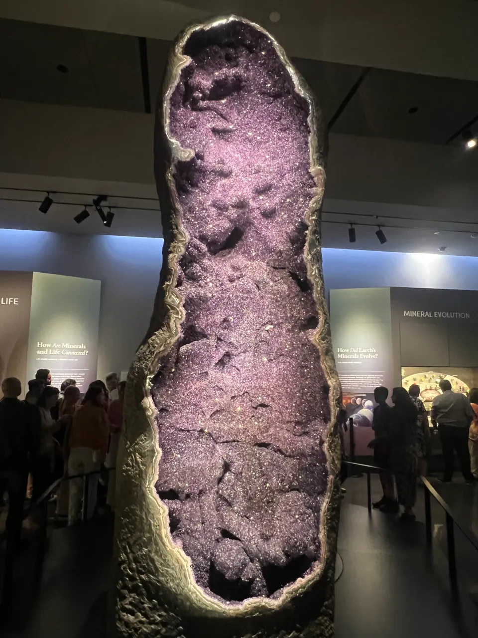 The Amethyst Throne, 4ft 6in amethyst cathedral geode